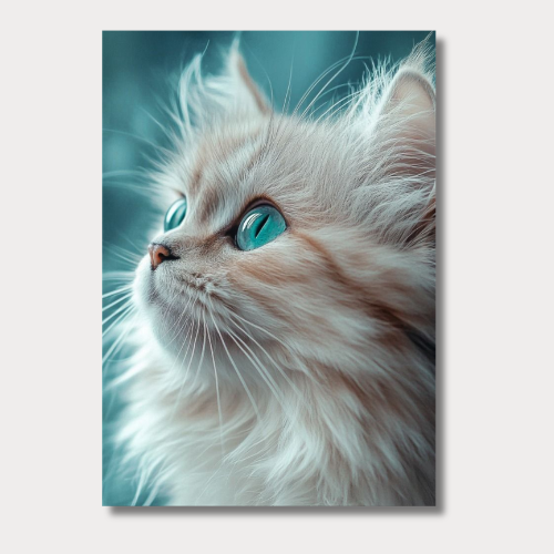 Long haired cat wall poster