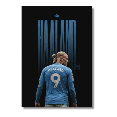 Football Haaland Back View Wall Poster