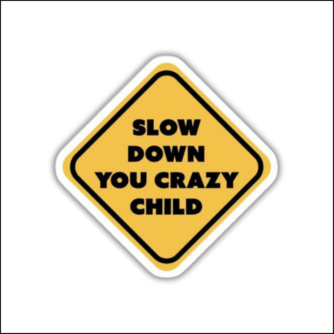 Slow down you crazy child Sticker