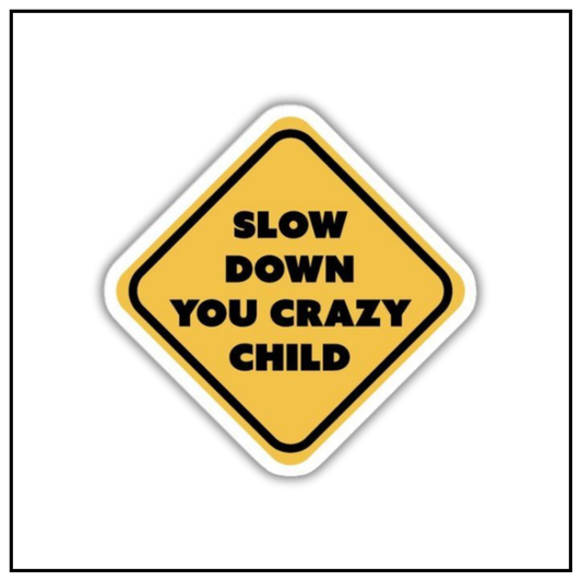 Slow down you crazy child Sticker