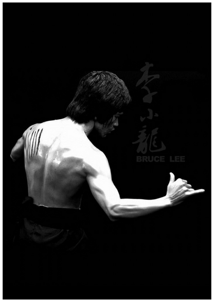 Bruce Lee Wall Poster Collection (Set of 8)