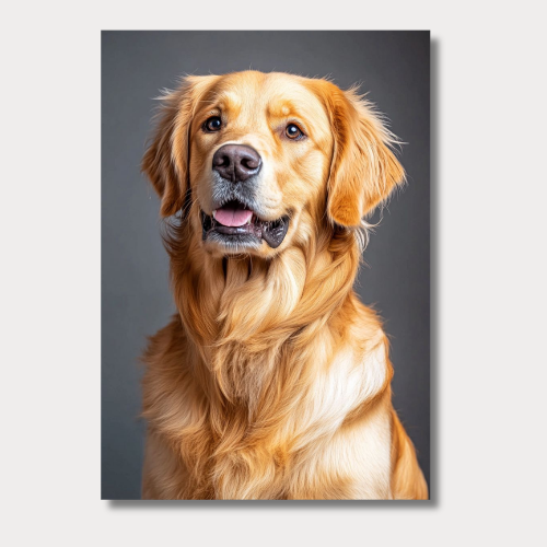 Golden retriever: a friend wall poster