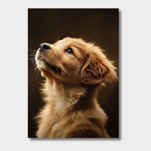 Golden retriever: puppy wall poster